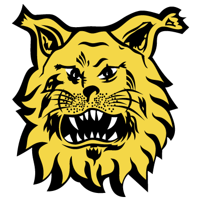 Ilves-Tampere logo