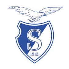 Stormvogels logo