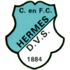 Hermes DVS logo
