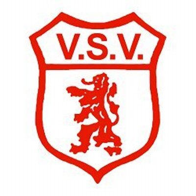 VSV logo